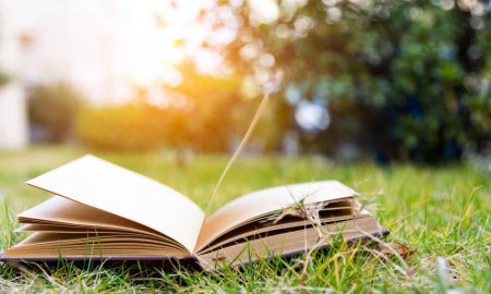 5 атмосферных книг для летнего настроения