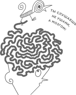 Музыка и мозг Музыка и мозг