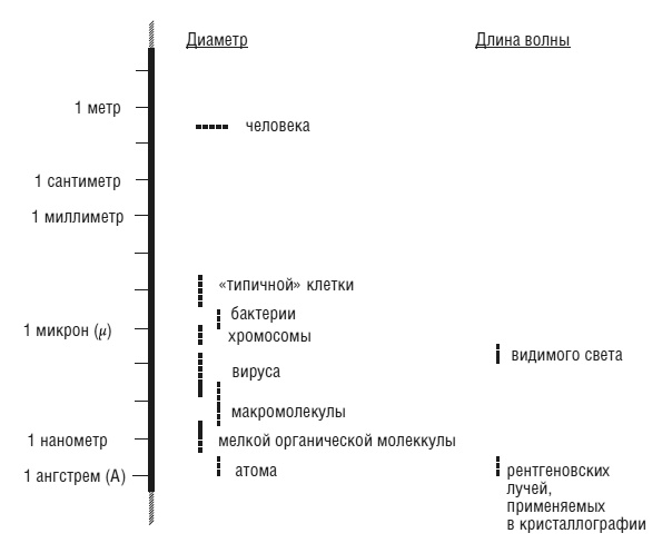Что за безумное стремленье! Что за безумное стремленье!